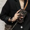 Louis-Vuitton iPhone 15 Pro Max 14 Plus LV Leather Case With Handle and Finger Holder